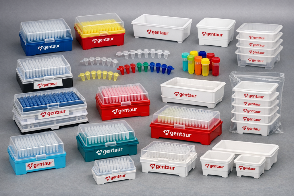 Plaque de culture tissulaire optiquement claire, 24 puits, irradiée gamma, base transparente de 190 μm, cadre noir, 30 plaques par caisse