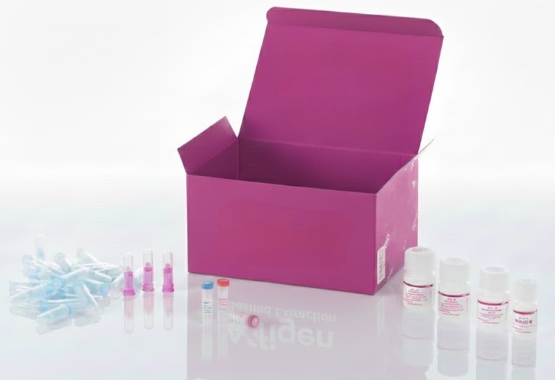 [0710-ESH0025-96T] Kit ELISA TNF-α (Factor de Necrosis Tumoral Alfa) de ovejas – 96 pruebas