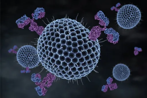 Cell Biology and Biomaterial Interactions